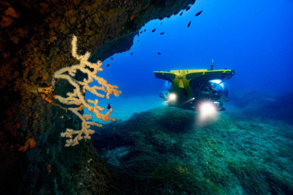 Cruise_Sub_7_300 (29)